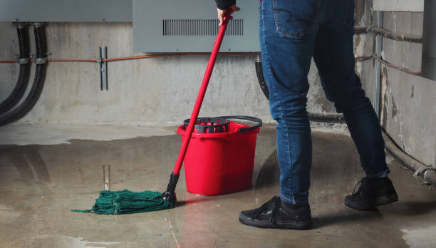 Best Water damage restoration near me  in Gulf Park Estates, MS