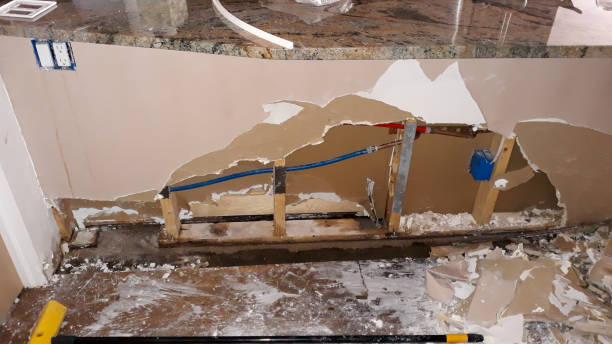 Best Flooded house restoration  in Gulf Park Estates, MS