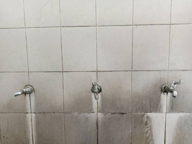 Best Professional water damage repair  in Gulf Park Estates, MS