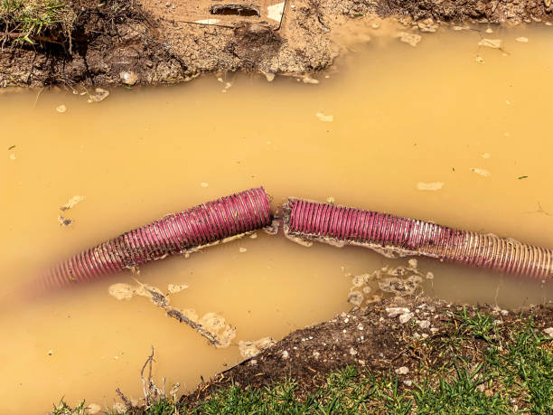 Best Flood damage cleanup  in Gulf Park Estates, MS