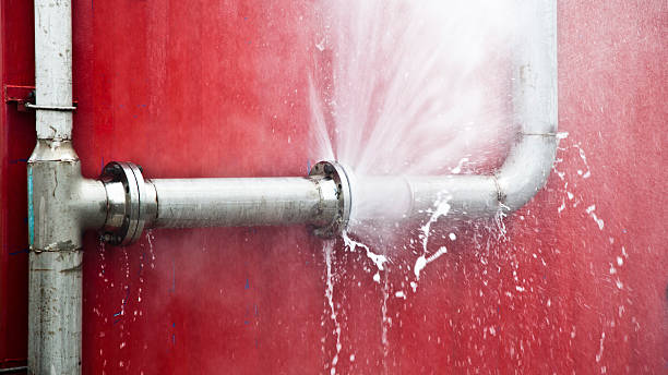 Best Ceiling water damage repair  in Gulf Park Estates, MS